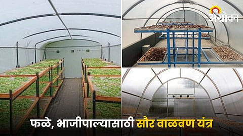 Eco-Friendly Food Drying