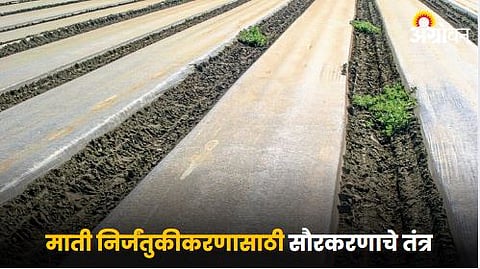 Agriculture