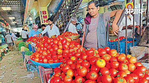 Tomato Rate