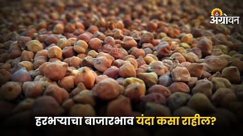 Chana Market