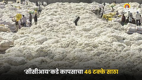 Cotton