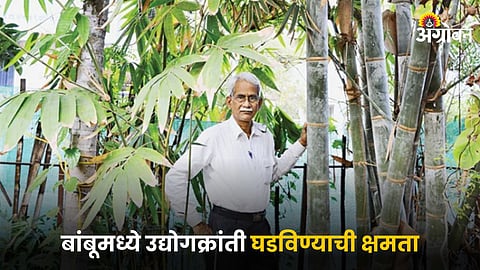 Ajit Thakur, Director, Maharashtra Chapter, Bamboo Society of India