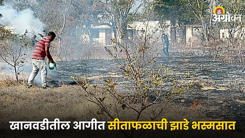 Sitaphal Orchard Fire