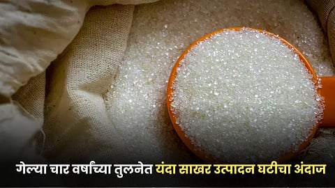 Sugar