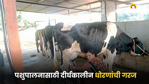 Animal Husbandry