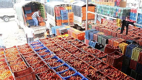Tomato Rate