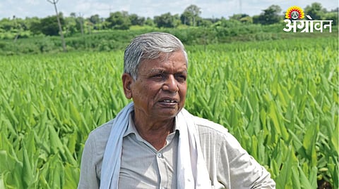  Subhash Sharma 