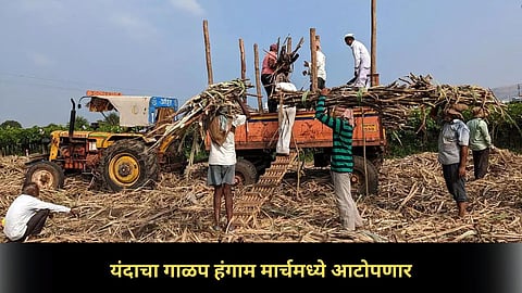 Sugar Crushing Season