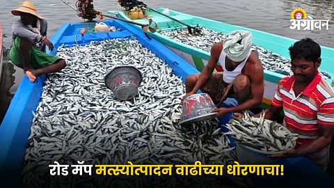 Fish Production