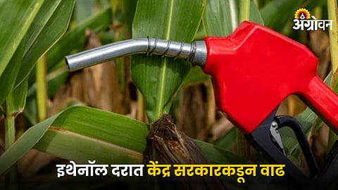 Ethanol Production