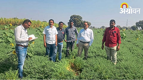 Crop Variety 