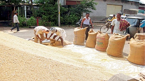 Soybean Market 