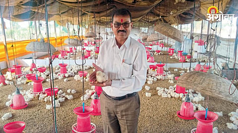 Poultry Farming