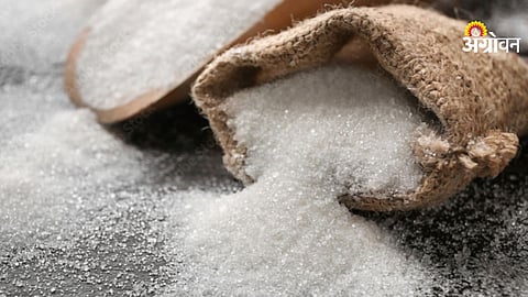Sugar Production