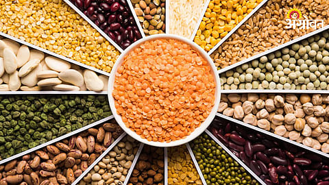 Pulses