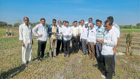 Onion Crop Damage 