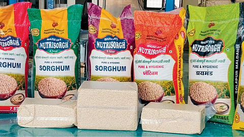 Sorghum Processed Product 