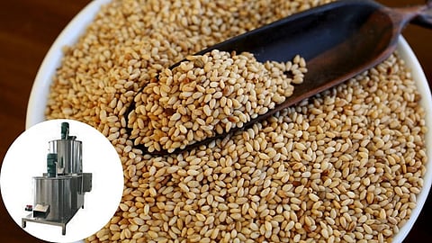 Sesame Peeling Machine 