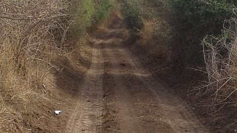 Farm Road