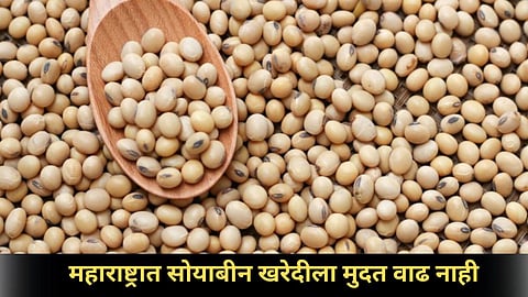 Denies Soybean Procurement 