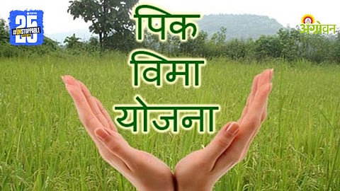Crop Insurance 