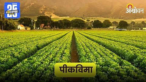 Crop Insurance