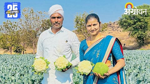 Vegetable Farming 