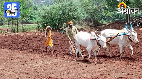 Sowing 