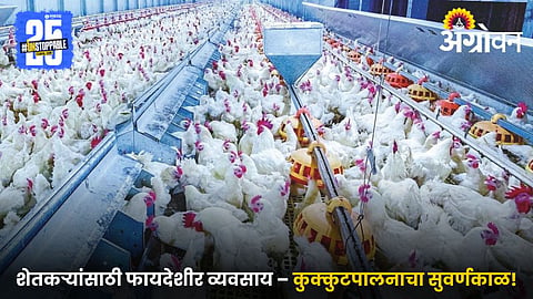 Poultry Farming