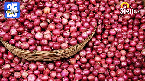 Onion Market