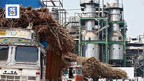  Sugar Production Decline 