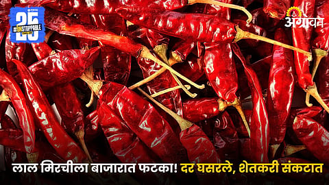 Red Chilli