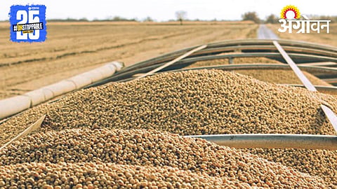 Soybean Market 