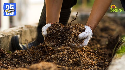 Compost Fertilizer