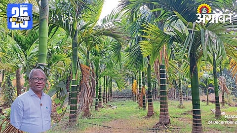 Agriculture Success Story 
