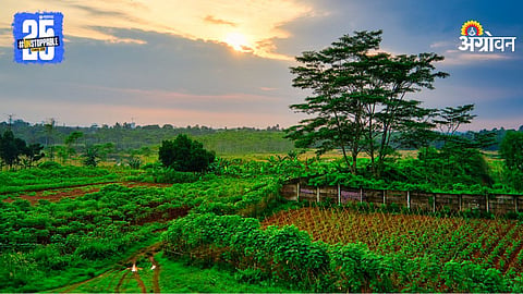 Natural Farming