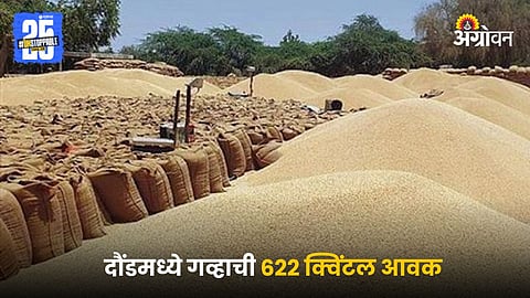 Wheat Market