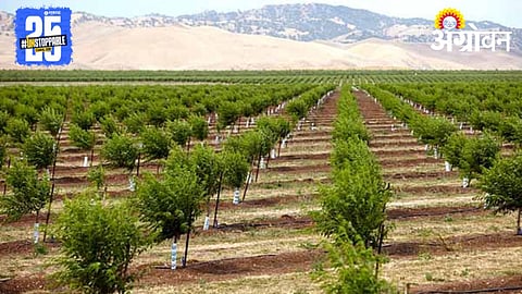Fruit Farming 