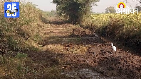 Farm Road 