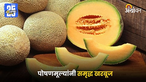 Muskmelon