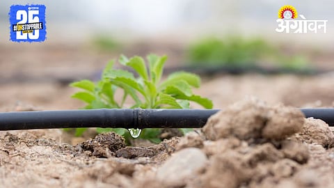 Drip Irrigation