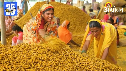Turmeric Market 