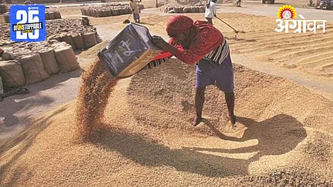 Wheat Market 