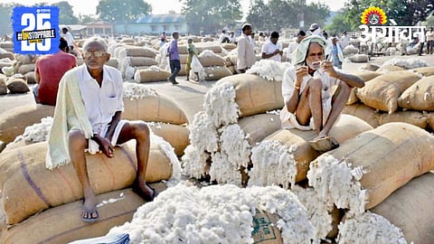 Cotton Market 
