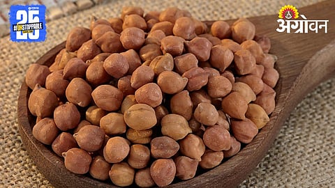 Chana Market 