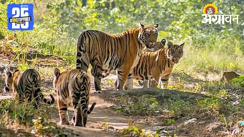 Satpuda Eco-Tourism