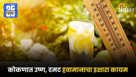 Summer Temperature