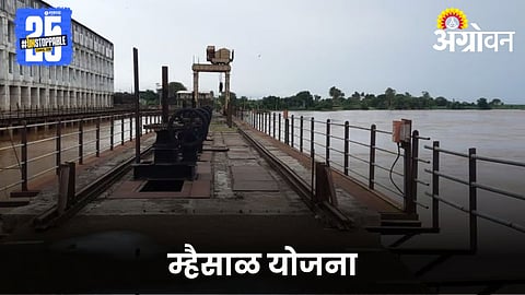 Mhasial Irrigation Scheme 