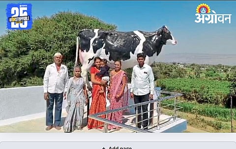 Dairy Business 