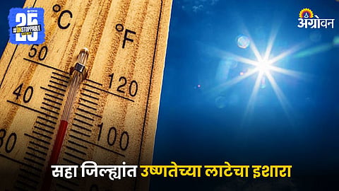 Summer Weather